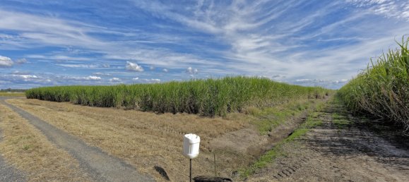 4 bedrooms House in Moore Park Beach, Australia No. 1042 17