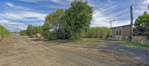 4 bedrooms House in Moore Park Beach, Australia No. 1042 14