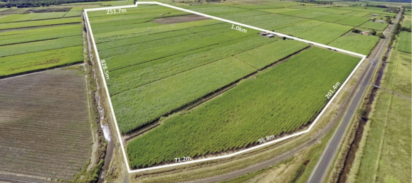 4 bedrooms House in Moore Park Beach, Australia No. 1042 19