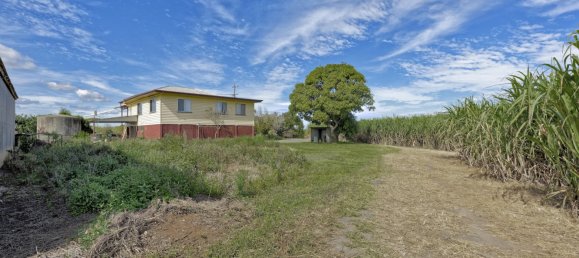 4 bedrooms House in Moore Park Beach, Australia No. 1042 6
