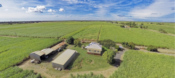 4 bedrooms House in Moore Park Beach, Australia No. 1042 20