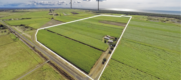 4 bedrooms House in Moore Park Beach, Australia No. 1042 2