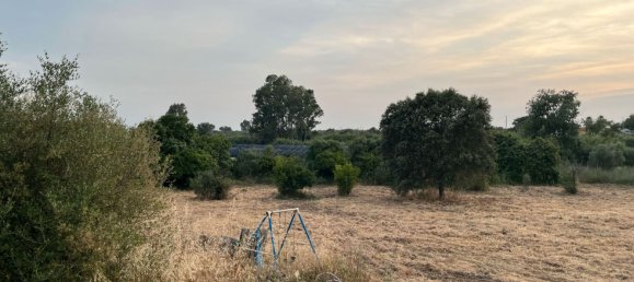 4 Schlafzimmer Haus in Huelva, Spain, Nr. 165435 17