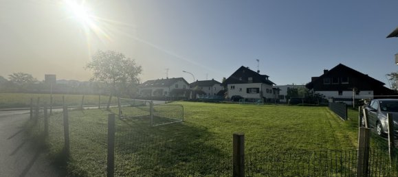 Land in Hard, Austria No. 49372 2