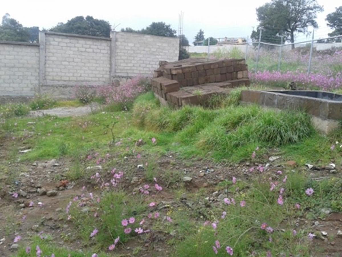  Land in Ciudad Lopez Mateos, Mexico No. 206286