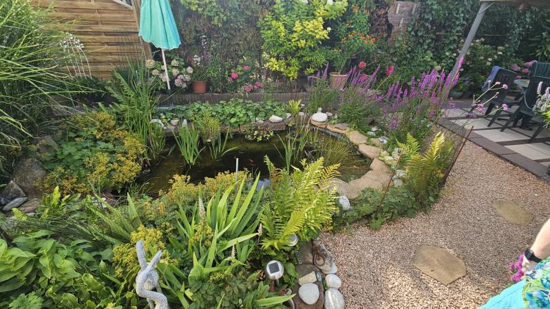 Casa de 4 habitaciónes en Rhein-Pfalz, Germany No. 201288