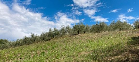 9154m² Land in Civitella in Val di Chiana, Italy No. 281798 5