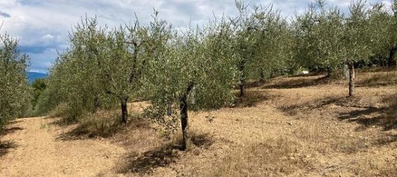 9154m² Land in Civitella in Val di Chiana, Italy No. 281798 6