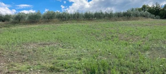 9154m² Land in Civitella in Val di Chiana, Italy No. 281798 4