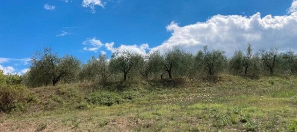 9154m² Land in Civitella in Val di Chiana, Italy No. 281798 3