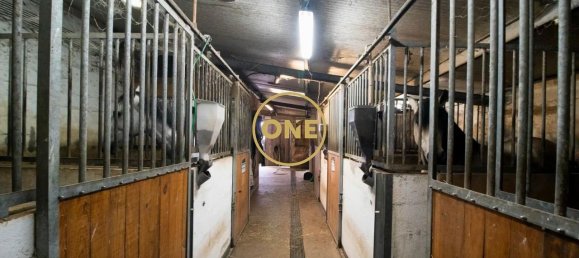 3 Schlafzimmer Haus in Maia, Portugal, Nr. 52493 25