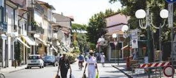 5 bedrooms Villa in Forte dei Marmi, Italy No. 72376 19