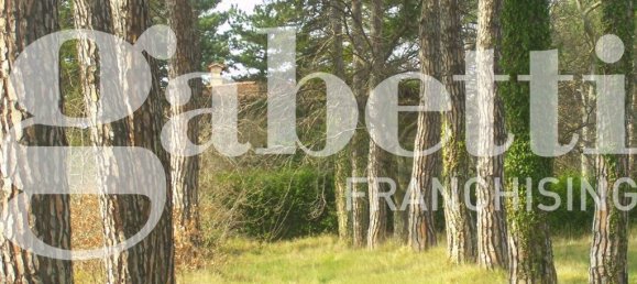 5 rooms House in Gubbio, Italy No. 154621 15