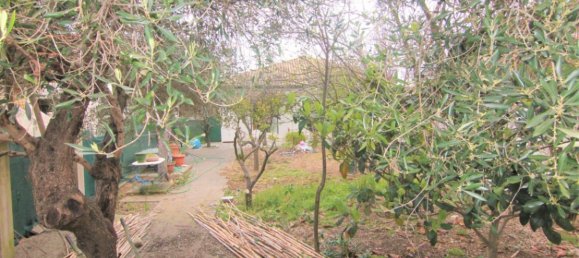 1 bedroom Villa in Corfu, Greece No. 1466 13