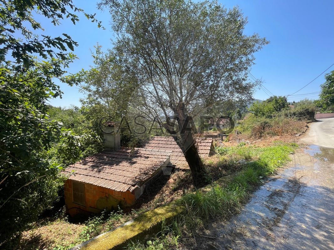 1 bedroom House in Ponte de Lima, Portugal No. 221838