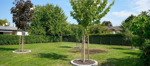 3 rooms Townhouse in Gross-Enzersdorf, Austria No. 256077 48