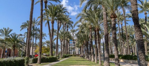 3 chambres Appartement à Santa Pola, Spain No. 63874 21