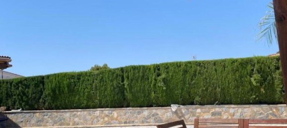 Villa de 4 dormitorios en Ciudad Quesada, Spain No. 171489 14