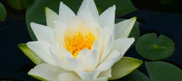 4 bedrooms Townhouse in Starnberg, Germany No. 340170 20