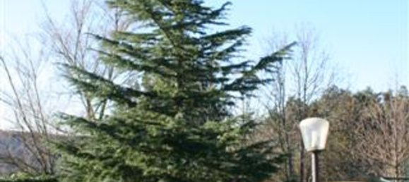 3-salle Maison à Vaglia, Italy No. 119309 6