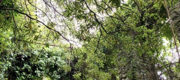 8385m² Land in Sintra, Portugal No. 95589 10