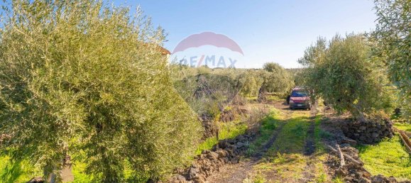 قطعة أرض في Paternò, Italy 15000متر مربع رقم 55749 22