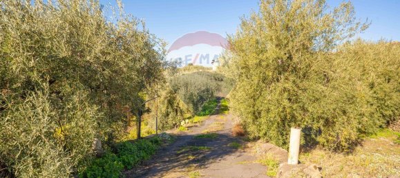 قطعة أرض في Paternò, Italy 15000متر مربع رقم 55749 30