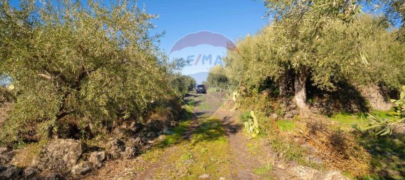 قطعة أرض في Paternò, Italy 15000متر مربع رقم 55749 32