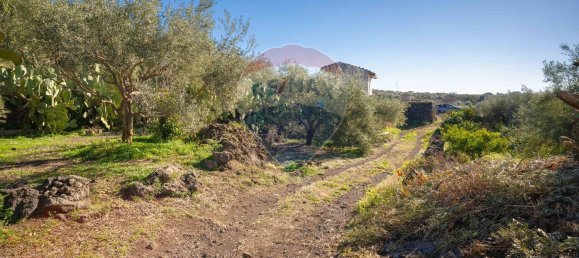 قطعة أرض في Paternò, Italy 15000متر مربع رقم 55749 3