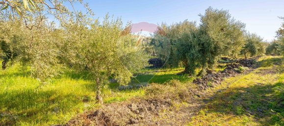 قطعة أرض في Paternò, Italy 15000متر مربع رقم 55749 26