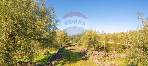 قطعة أرض في Paternò, Italy 15000متر مربع رقم 55749 21