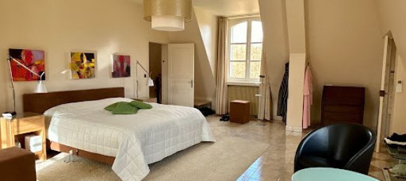 6 bedrooms Castles in Indre-et-Loire, France No. 326223 11