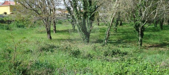 5300m² Land in Aveiro, Portugal No. 27626 12