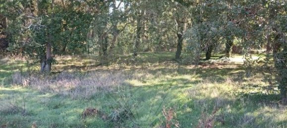 5300m² Land in Aveiro, Portugal No. 27626 6