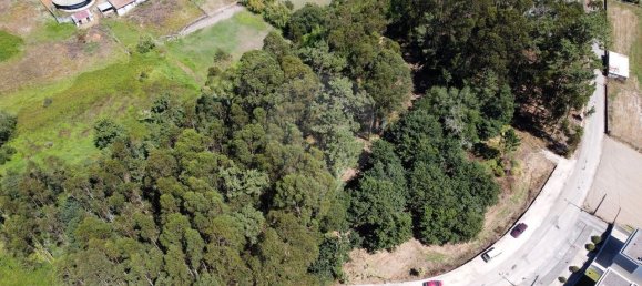 5300m² Land in Aveiro, Portugal No. 27626 2