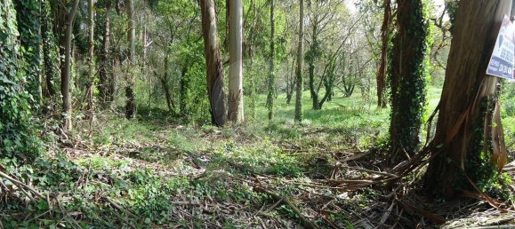 5300m² Land in Aveiro, Portugal No. 27626 19