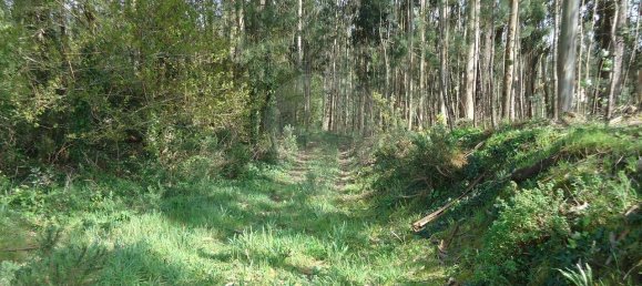 5300m² Land in Aveiro, Portugal No. 27626 9