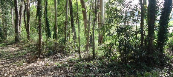 5300m² Land in Aveiro, Portugal No. 27626 22