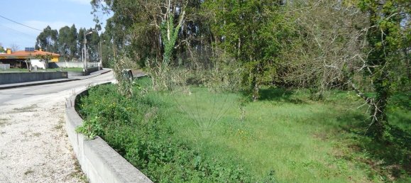 5300m² Land in Aveiro, Portugal No. 27626 14