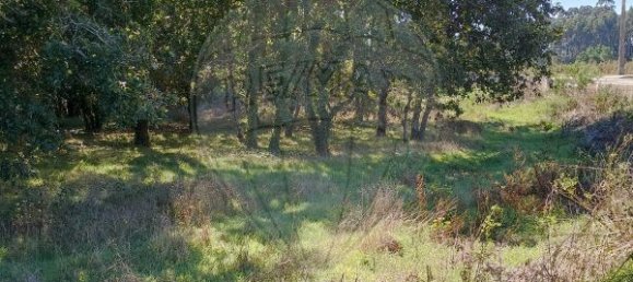 5300m² Land in Aveiro, Portugal No. 27626 7