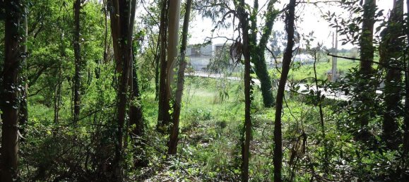 5300m² Land in Aveiro, Portugal No. 27626 23