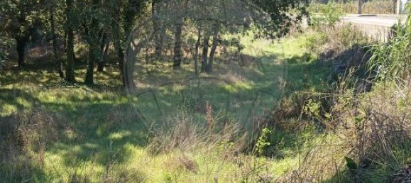 5300m² Land in Aveiro, Portugal No. 27626 5