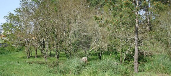 5300m² Land in Aveiro, Portugal No. 27626 8