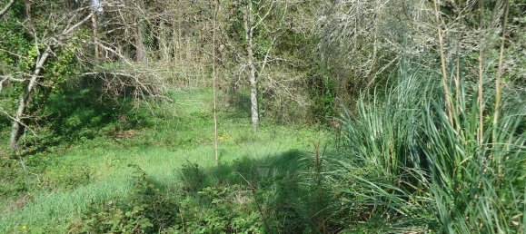 5300m² Land in Aveiro, Portugal No. 27626 11