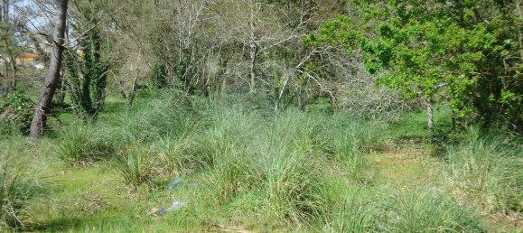 5300m² Land in Aveiro, Portugal No. 27626 10