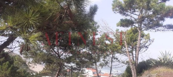 1 bedroom House in Sintra, Portugal No. 245887 18