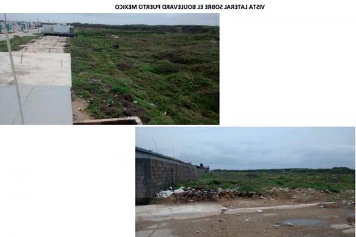  قطعة أرض في Veracruz, Mexico رقم 206134