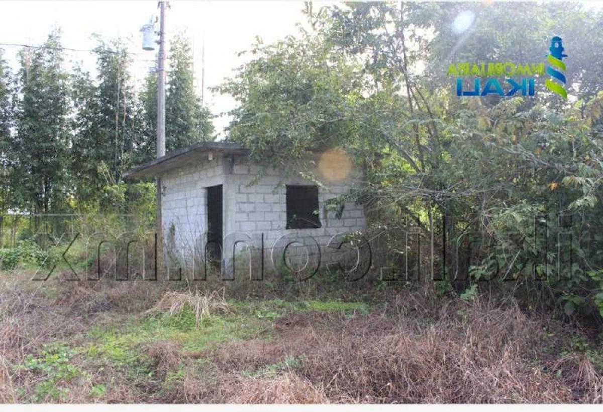 4 غرف نوم منزل في Veracruz, Mexico رقم 215648