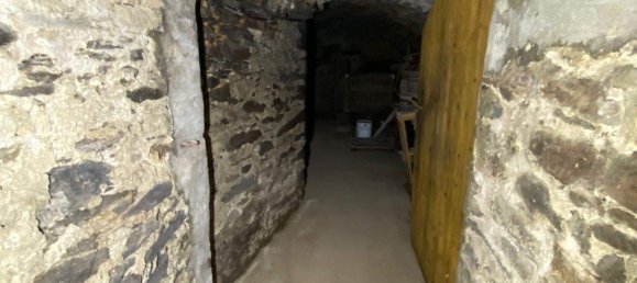 Ферма с 8 комнатами в Greiz, Германия № 346232 34