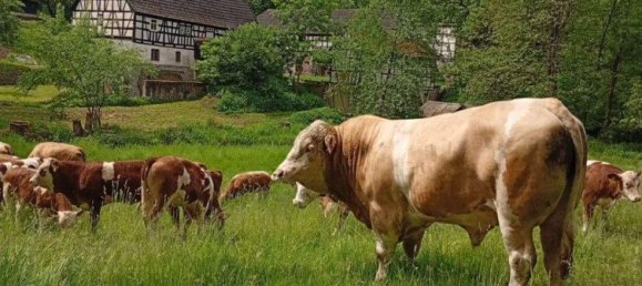 Ферма с 8 комнатами в Greiz, Германия № 346232 17